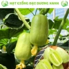 20 hạt giống dưa leo ngọc nữ tặng kèm phân bón, giá 9.800đ, trồng dễ, thu hoạch nhanh 5