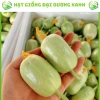 20 hạt giống dưa leo ngọc nữ tặng kèm phân bón, giá 9.800đ, trồng dễ, thu hoạch nhanh 6