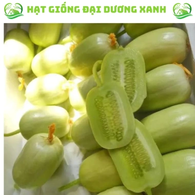 20 hạt giống dưa leo ngọc nữ tặng kèm phân bón, giá 9.800đ, trồng dễ, thu hoạch nhanh