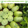 20 hạt giống dưa leo ngọc nữ tặng kèm phân bón, giá 9.800đ, trồng dễ, thu hoạch nhanh 8