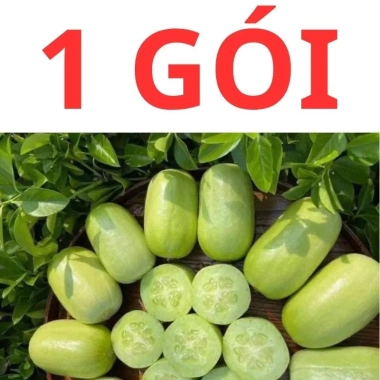 20 hạt giống dưa leo ngọc nữ tặng kèm phân bón, giá 9.800đ, trồng dễ, thu hoạch nhanh 10 20 hạt giống dưa leo ngọc nữ tặng kèm phân bón, giá 9.800đ, trồng dễ, thu hoạch nhanh 10