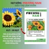 20 hạt giống hoa hướng dương cắt cành nhụy đen F1 - Op Phương Nam, chỉ 16.900₫ 6