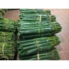 20 lá dong vừa nhà cho bánh chưng, bánh giò, bánh tét - Giá giảm 40.000₫ 5