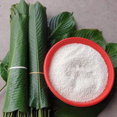 20 lá dong vừa nhà cho bánh chưng, bánh giò, bánh tét - Giá giảm 40.000₫