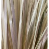 200 Dây Lạt Size 80cm - Gói Bánh, Trang Trí, Giá Chỉ 32.000đ 8