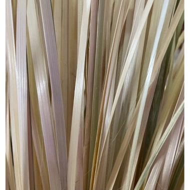 200 Dây Lạt Size 80cm - Gói Bánh, Trang Trí, Giá Chỉ 32.000đ