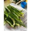200 lá cây bao tử (linh chi thảo) - Giá ưu đãi 160.000đ, hỗ trợ tiêu hoá, tốt cho dạ dày
