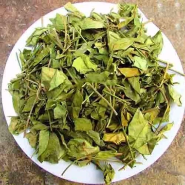 2kg Dây Thìa Canh Hỗ Trợ Điều Trị Tiểu Đường - Giảm Đường Huyết, Giá 118.000₫