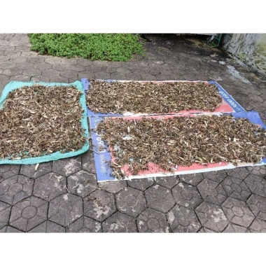 3 Túi Trà Phụ Khoa Thảo Mộc Dao - Hỗ Trợ Sức Khỏe Phụ Nữ, Giá Chỉ 190.000đ