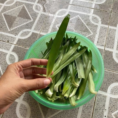 30-50 lá Cây Cỏ Bao Tử Linh Chi Thảo - Hỗ trợ tiêu hoá, giảm cân, chỉ 25.000đ 3