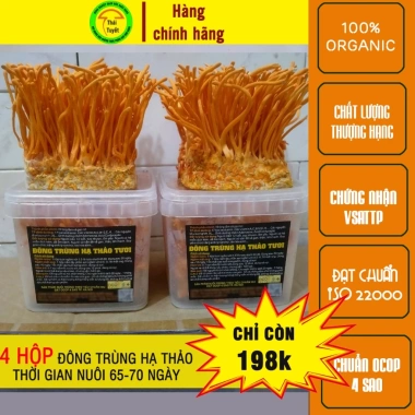 4 hộp nấm Đông trùng hạ thảo tươi ngâm - Đóng thùng xốp và đá khô, chỉ 199.800₫ 4 hộp nấm Đông trùng hạ thảo tươi ngâm - Đóng thùng xốp và đá khô, chỉ 199.800₫