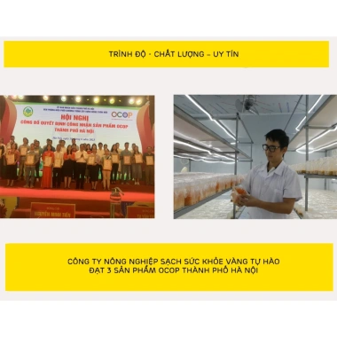 4 hộp nấm Đông trùng hạ thảo tươi ngâm - Đóng thùng xốp và đá khô, chỉ 199.800₫ 6 4 hộp nấm Đông trùng hạ thảo tươi ngâm - Đóng thùng xốp và đá khô, chỉ 199.800₫ 6