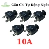 5 Cái Cầu Chì Tự Động Ngắt Nhiều Dòng Bảo Vệ Thiết Bị Điện - Quỳnh Diễn 94,575 VND 10