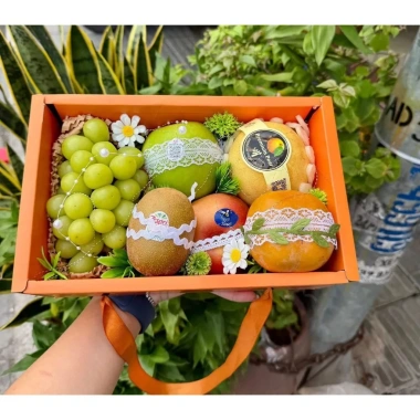 5 Hộp Nắp Mica Quai Xách Đựng Giỏ Hoa Quả, Đựng Trái Cây 2-3kg - Giá 125k