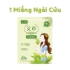5 miếng Dán Giữ Nhiệt Chuột Túi: Lựa Chọn Cơ Thể/Bàn Chân, Dán Nóng Sưởi Ấm Đèn Đỏ, Đau Bụng Kinh - Giá 6.500₫ 6