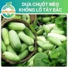 50 hạt giống Dưa chuột mèo khổng lồ Tây Bắc - Giá 9.500₫, thu hoạch dày dặn