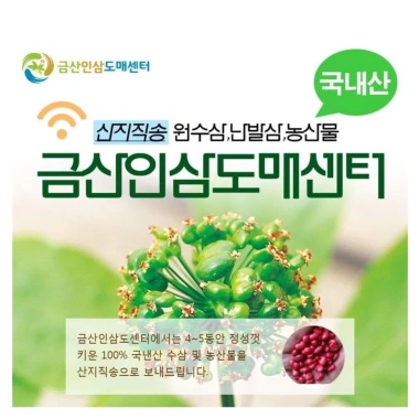 50 Hạt giống Nhân Sâm Hàn Quốc Cao Cấp Đã ủ Nứt Nanh - Giá chỉ 49.000đ