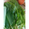 50 Lá Dong Tươi HCM - Gói Bánh Chưng, Bánh Giò, Bánh Tét Giá 180.000 2