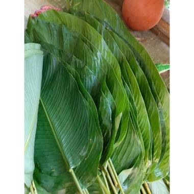 50 Lá Dong Tươi HCM - Gói Bánh Chưng, Bánh Giò, Bánh Tét Giá 180.000