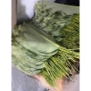50 Lá Dong Tươi HCM - Gói Bánh Chưng, Bánh Giò, Bánh Tét Giá 180.000 3