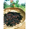 500g Bột Ngũ Hắc Không Đường – Dâu tằm, Hắc Kỳ Tử – Bổ Thận, Giảm Rụng Tóc – 140.000 VND 4