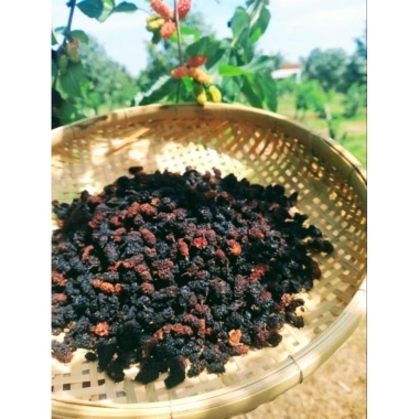 500g Bột Ngũ Hắc Không Đường – Dâu tằm, Hắc Kỳ Tử – Bổ Thận, Giảm Rụng Tóc – 140.000 VND 4