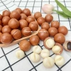 500g Hạt Mắc Ca ĐăkLăk 2.3‑2.8cm Sấy Ăn Liền – Giá 140.000, Xuất Hóa Đơn Công Ty 2
