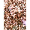 500g Hạt mix 5 loại: hạnh nhân, macca, óc chó, hạt điều, bí - Giảm còn 160k 4