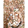 500g Hạt mix 5 loại: hạnh nhân, macca, óc chó, hạt điều, bí - Giảm còn 160k 6