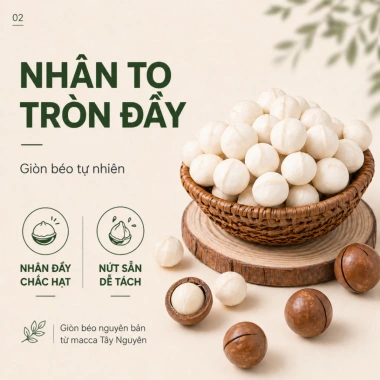 5KG Hạt Macca Nứt Vỏ Hoàng Nguyên Đăk Lăk Giảm Giá Thích Hợp Cho Bầu