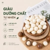 5KG Hạt Macca Nứt Vỏ Hoàng Nguyên Đăk Lăk Giảm Giá Thích Hợp Cho Bầu 3