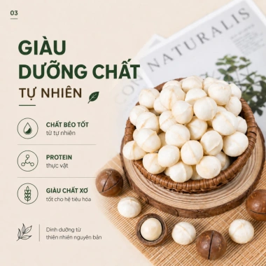 5KG Hạt Macca Nứt Vỏ Hoàng Nguyên Đăk Lăk Giảm Giá Thích Hợp Cho Bầu