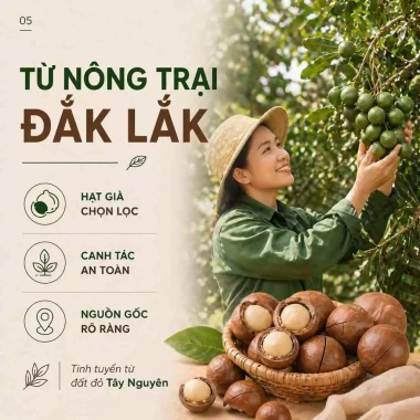 5KG Hạt Macca Nứt Vỏ Hoàng Nguyên Đăk Lăk Giảm Giá Thích Hợp Cho Bầu