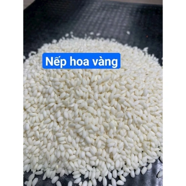 5KG Nếp Cái Hoa Vàng Nếp Bắc Dẻo Thơm - Giá ưu đãi 169.000₫