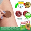 6 Miếng Dán Đái Tháo Đường Nga - 100% Thảo Mộc, Ổn Định Đường Huyết, Ngăn Ngừa Biến Chứng 4