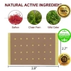 8 Miếng Cao Dán Con Cọp - Giảm Đau Lưng, Cổ, Vai, Khớp 100% Thảo Dược 4
