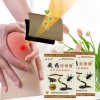 8 Miếng Cao Dán Đau Lưng, Cổ, Khớp, Vai - Cao Bò Sát Thảo Dược Giảm Đau, Giá 73.135 VND 3