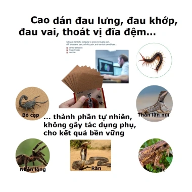 8 Miếng Cao Dán Đau Nhức Xương Khớp - Thoái Hóa Khớp, Thoát Vị Đĩa Đệm, Công Thức Gia Truyền, Siêu Rẻ 59.000 5