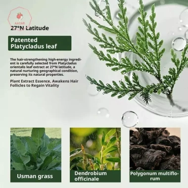 AACAR Arborvitae Lá Dầu Gội Xà Phòng - Chống gàu, kiểm soát dầu, tăng rễ tóc, ngăn ngừa rụng 52.580 VND