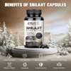 Alliwise Nhân Sâm Shilajit 400mg - Cải Thiện Trí Nhớ, Tăng Miễn Dịch, Chống Mệt Mỏi - Giảm Giá 22% - 337.000 VND 3