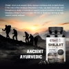Alliwise Nhân Sâm Shilajit 400mg - Cải Thiện Trí Nhớ, Tăng Miễn Dịch, Chống Mệt Mỏi - Giảm Giá 22% - 337.000 VND 5