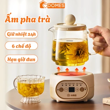 Ấm Điện Thủy Tinh 400W DOMES - Pha Trà Nóng, Giữ Nhiệt 24h, Lõi Lọc Trà Mùa Đông, Quà Tết Ý Nghĩa 328k