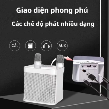 Âm thanh Karaoke Bluetooth WJ-826 50W - Pin 8h, Bluetooth 5.0, Micro không dây, Giá chỉ 299.999₫ 2