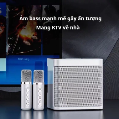 Âm thanh Karaoke Bluetooth WJ-826 50W - Pin 8h, Bluetooth 5.0, Micro không dây, Giá chỉ 299.999₫ 4