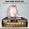Ampli Mini Loa Amly Bluetooth BT-198B 600W Karaoke Gia Đình Xe Ô Tô Giá Ưu Đãi 400k 4
