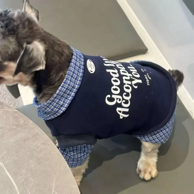 Áo 2 lớp thoáng khí thời thượng cho Poodle, Phốc sóc, Chó Nhật - Tay dài, cổ sơ mi, polyester chống rụng lông, 430.266₫ 2