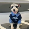 Áo 2 lớp thoáng khí thời thượng cho Poodle, Phốc sóc, Chó Nhật - Tay dài, cổ sơ mi, polyester chống rụng lông, 430.266₫ 3