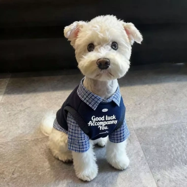 Áo 2 lớp thoáng khí thời thượng cho Poodle, Phốc sóc, Chó Nhật - Tay dài, cổ sơ mi, polyester chống rụng lông, 430.266₫ 4