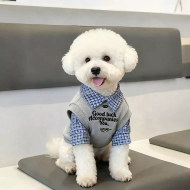 Áo 2 lớp thoáng khí thời thượng cho Poodle, Phốc sóc, Chó Nhật - Tay dài, cổ sơ mi, polyester chống rụng lông, 430.266₫ 5