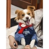 Áo 2 lớp thoáng khí thời thượng cho Poodle, Phốc sóc, Chó Nhật - Tay dài, cổ sơ mi, polyester chống rụng lông, 430.266₫ 7